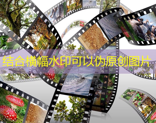 jogos de bingo cassino brail